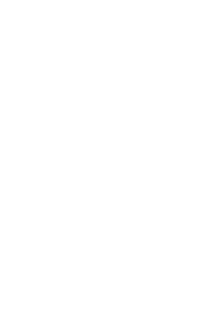 APAQS — Serro MG
